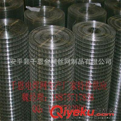 【誠信廠家供應】大絲電焊網(wǎng) 圈玉米的網(wǎng) 通風透氣-安平縣千恩金屬絲網(wǎng)制品提供【誠信廠家供應】大絲電焊網(wǎng) 圈玉米的網(wǎng) 通風透氣的相關介紹、產(chǎn)品、服務、圖片、價格安平縣千恩金屬絲網(wǎng)制品、護欄網(wǎng);鋼格板;鋼板網(wǎng);石籠網(wǎng);荷蘭網(wǎng);美格網(wǎng);沖孔網(wǎng);隔離柵;塑料網(wǎng);不銹鋼網(wǎng);防風抑塵網(wǎng);聲屏障;刀片刺繩;過濾網(wǎng);電焊網(wǎng);土工格柵;金剛網(wǎng);軋花網(wǎng);勾花網(wǎng);防護網(wǎng)