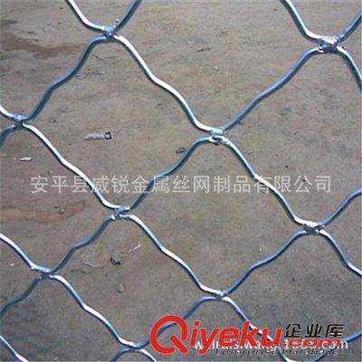 廠家直銷東北地區.圈玉米美格網.圈棒子美格網,美格網價格-安平縣威銳金屬絲網制品提供廠家直銷東北地區.圈玉米美格網.圈棒子美格網,美格網價格的相關介紹、產品、服務、圖片、價格安平縣威銳金屬絲網制品、鐵絲網;護欄網;隔離柵;防護網;牛欄網;荷蘭網;軋花網;草原網;勾花網;刀片刺繩網;防風抑塵網;沖孔網;建筑網片;美格網;鋼板網;鐵藝護欄網;鋼格板;不銹鋼網;石籠網;礦篩網