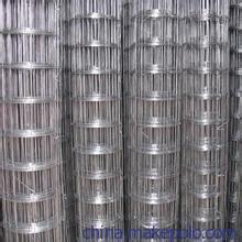 卓勛10mm*10mm電鍍鋅電焊網(wǎng)圖片,卓勛10mm*10mm電鍍鋅電焊網(wǎng)圖片大全,安平縣卓勛金屬絲網(wǎng)制品-