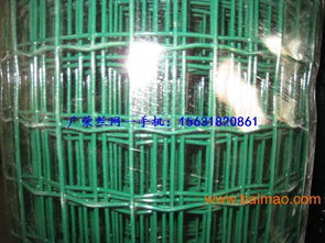 河南葉縣、新鄉(xiāng)、焦作荷蘭網(wǎng) 生產(chǎn)廠家與價格指南