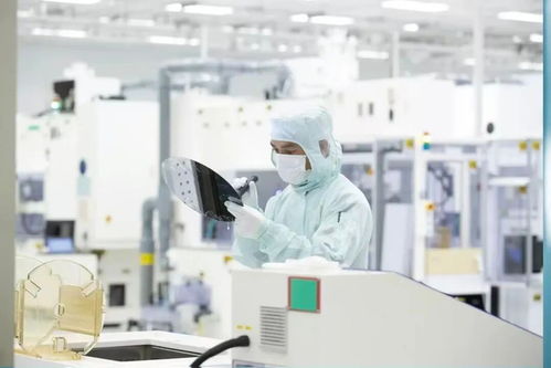 譜寫科技金融大文章 激活新質(zhì)生產(chǎn)力澎湃動(dòng)能